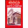 NTRA. SRA. DE LAS MARAVILLAS Y DE LOS SANTOS JUSTO Y PASTOR, DE MADRID. VERDASCO GARCÍA, Félix